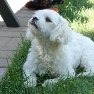 Meet your Posher, Renee